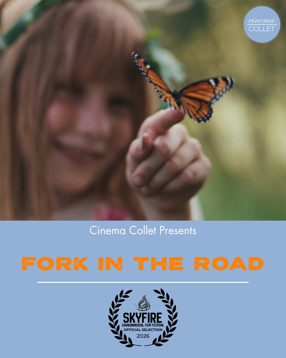 nancycollet tweet media