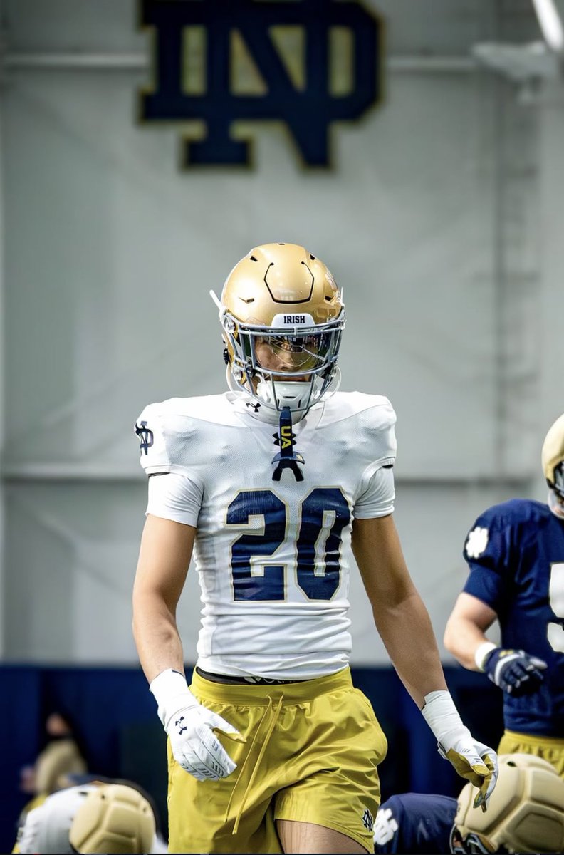 GoldeNDomerz☘️ tweet media