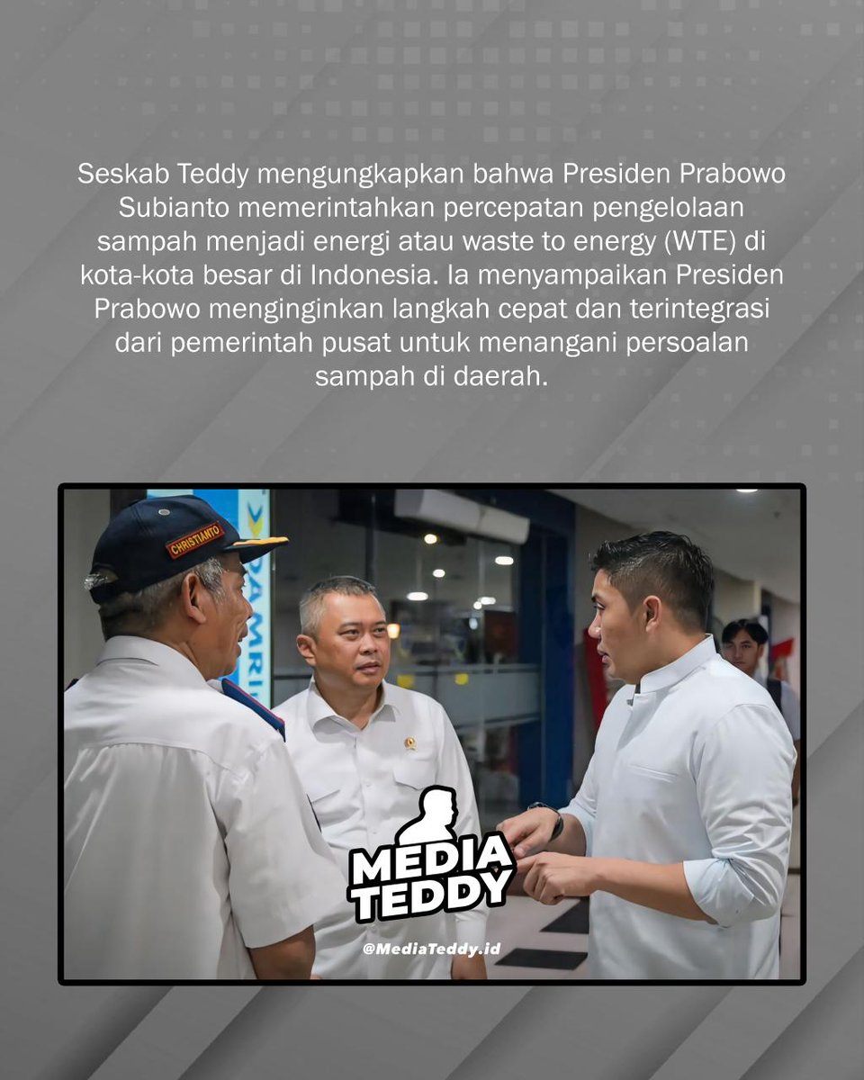 Media Teddy tweet media