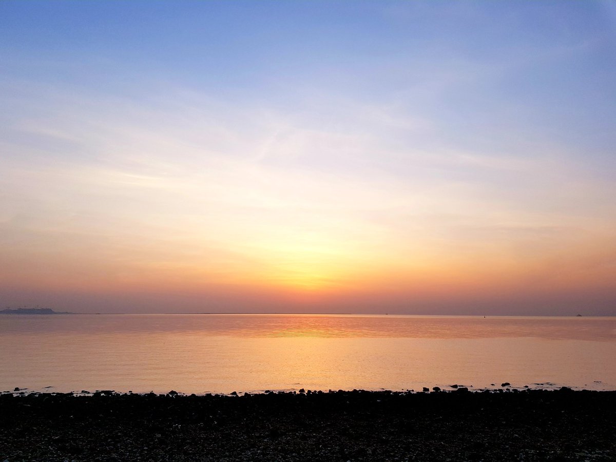 .....🍁 tweet media