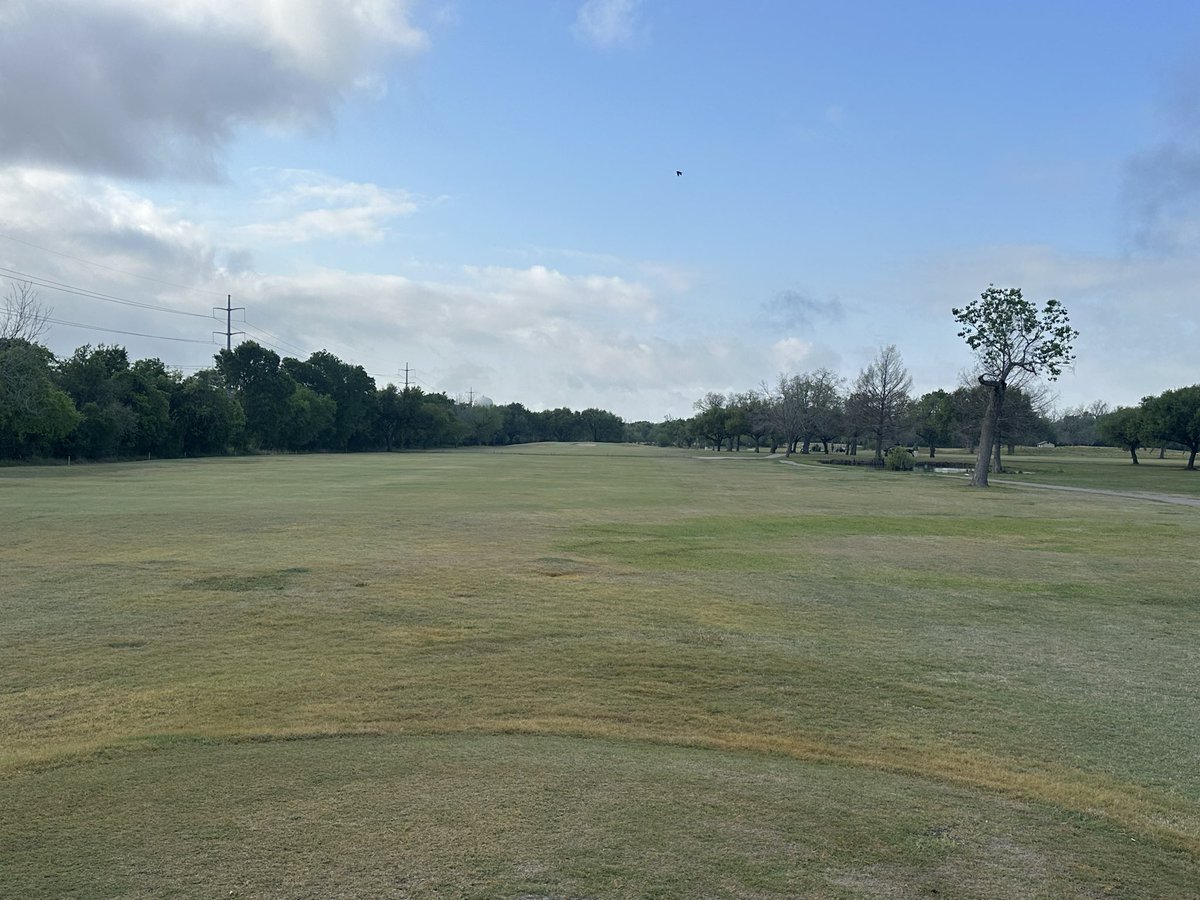 ⛳️BF Terry Golf tweet media