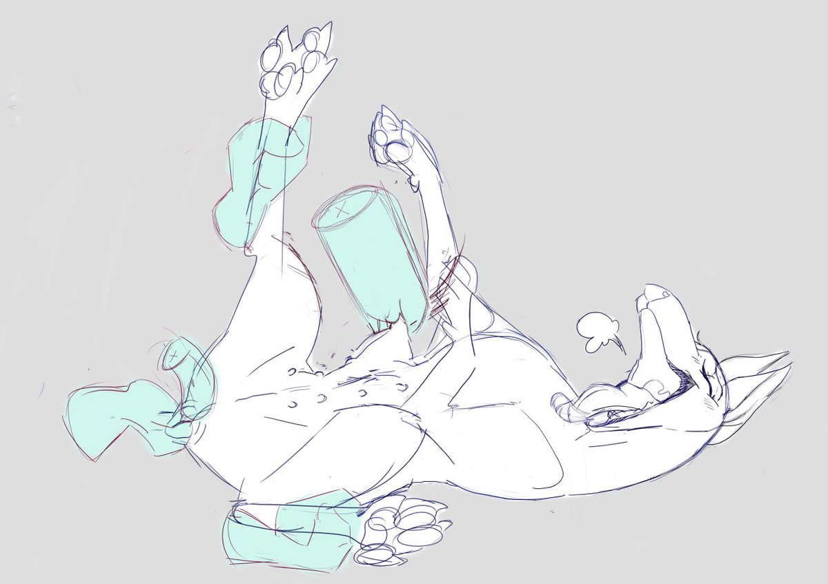 Whytedog tweet media