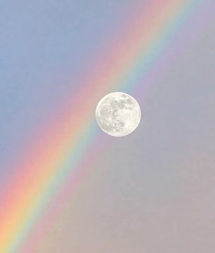 Black Hole tweet media