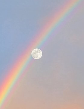 Black Hole tweet media