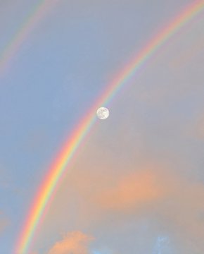 Black Hole tweet media