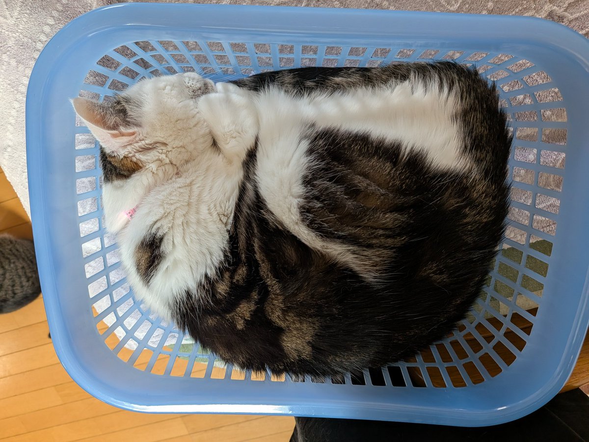 ポテトデラックス tweet media