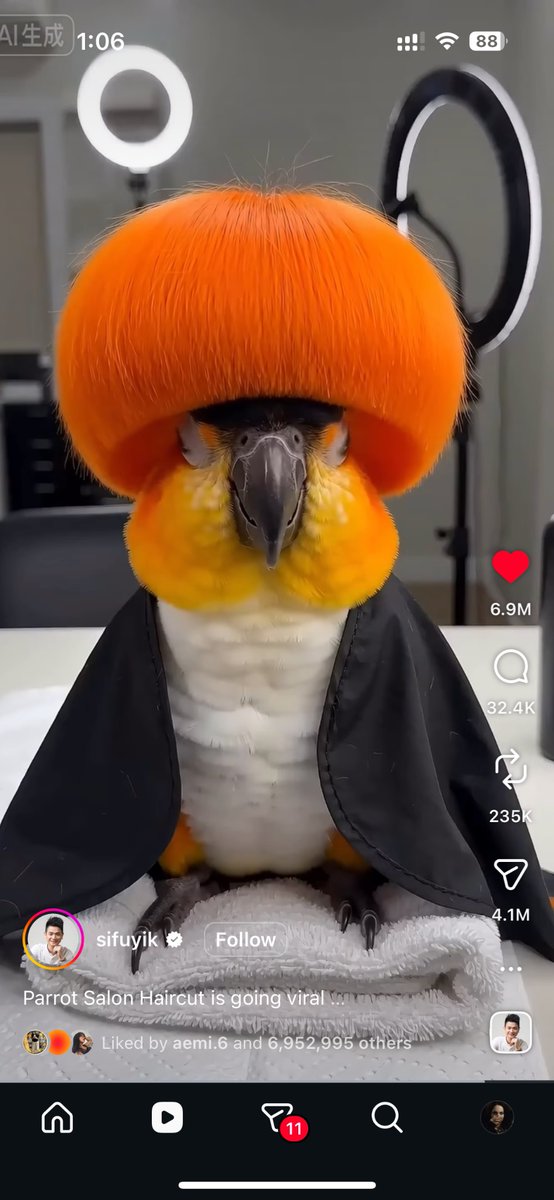 شمس🪷 tweet media