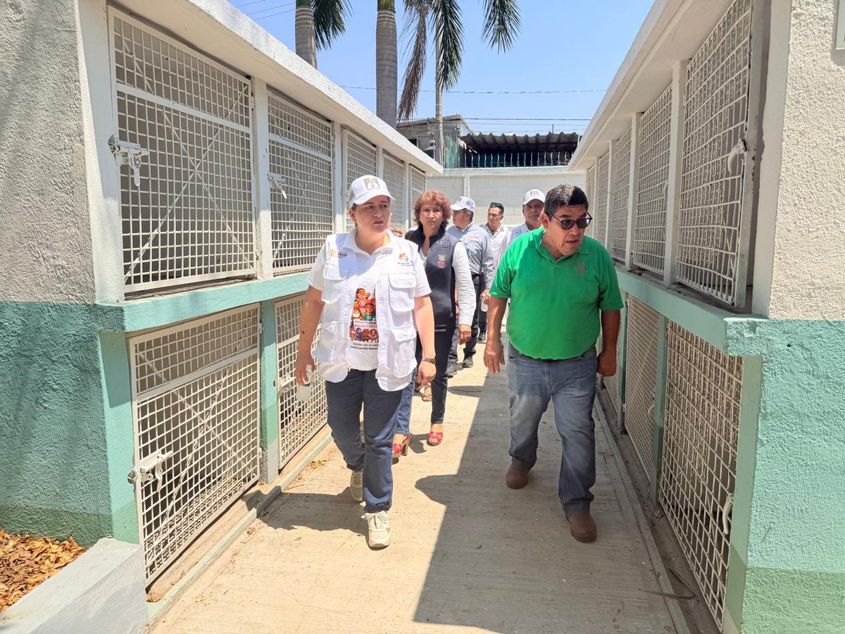 Salud Guerrero tweet media