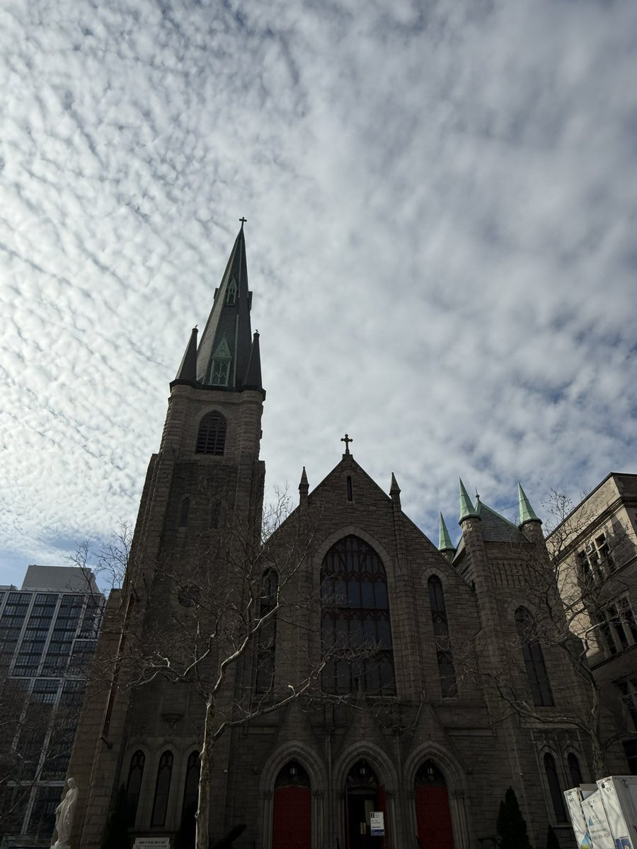 BRANA DANE tweet media