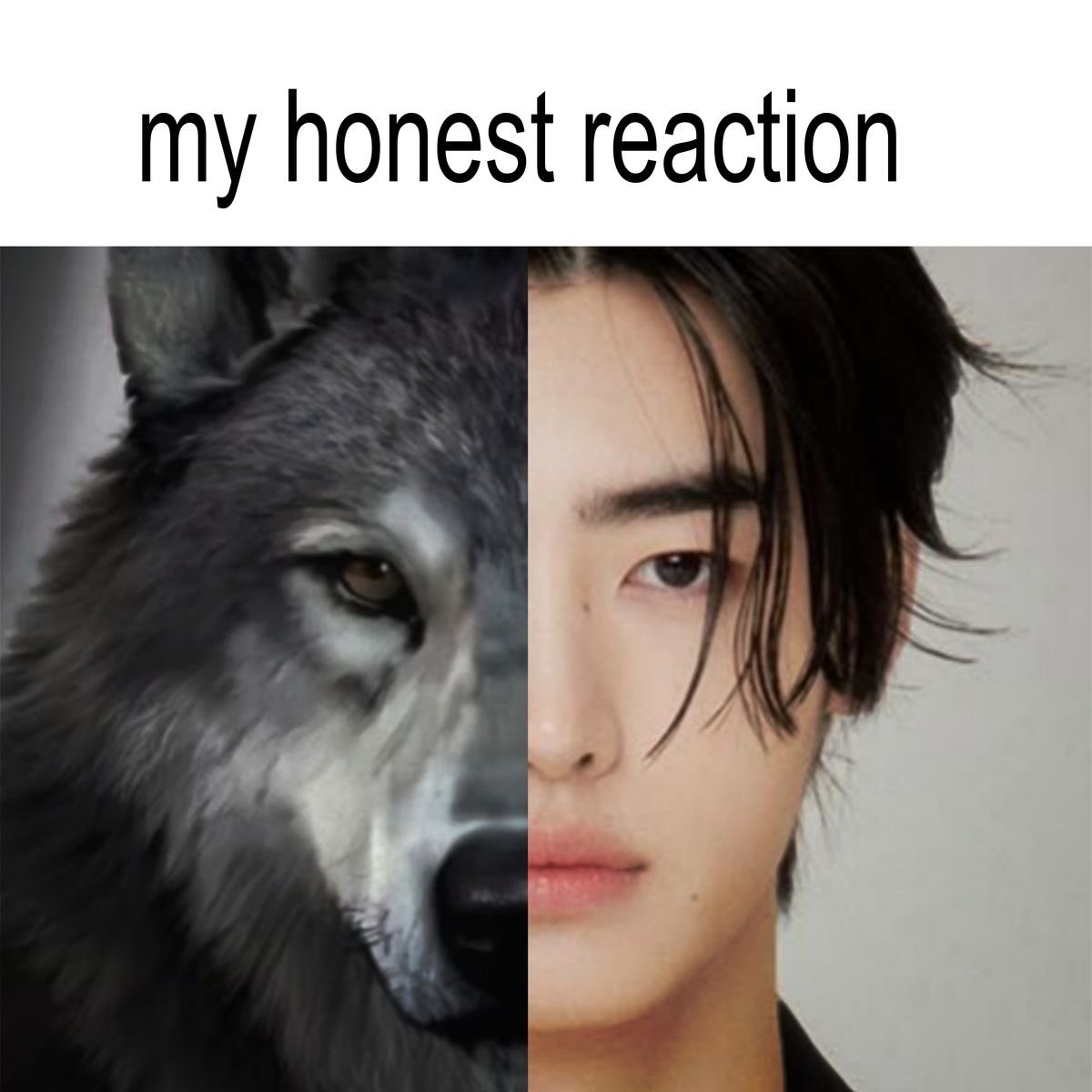 mimilla ✮⋆˙ 𝗘𝗡╸⁷ tweet media