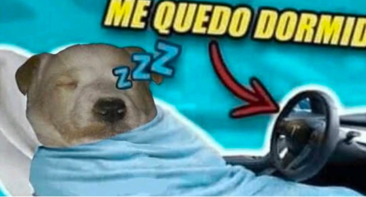 jugolovesmilfs's tweet photo. yo solo salgo de la U https://t.co/THKYTacUZ7