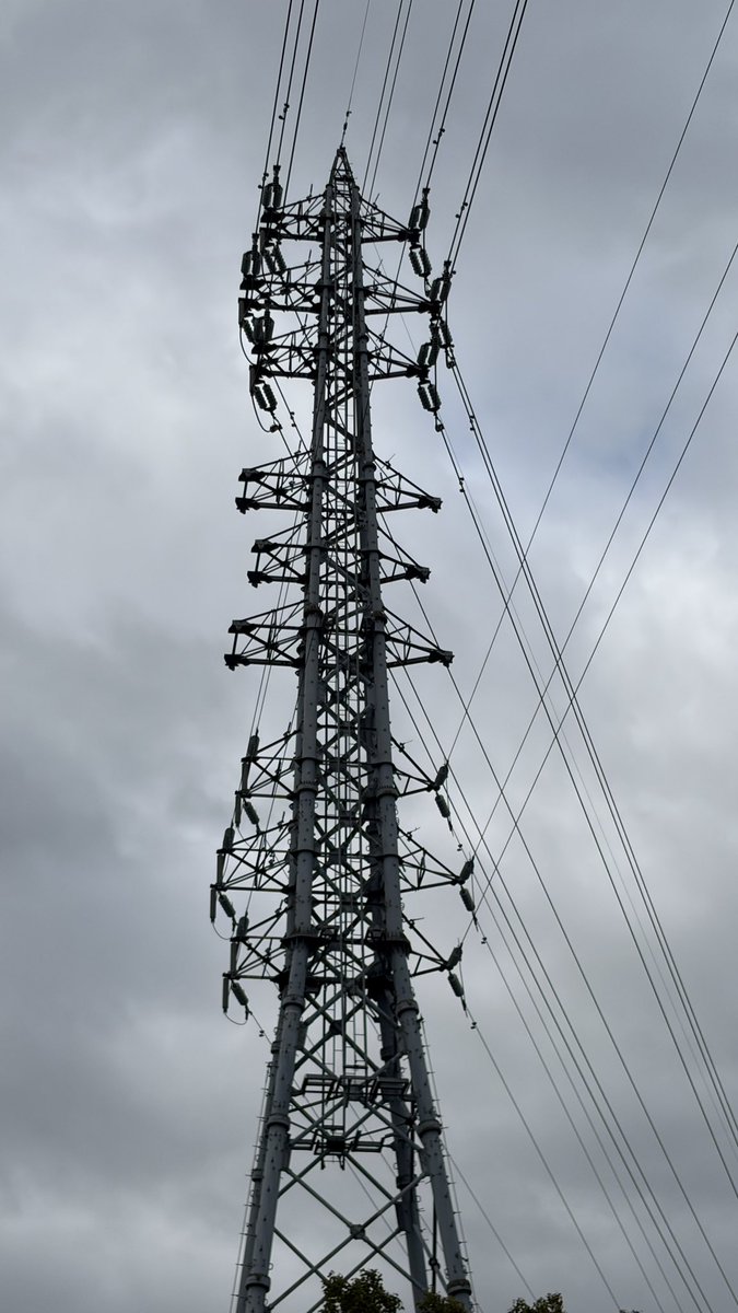 Densanpopolon_2023 tweet media