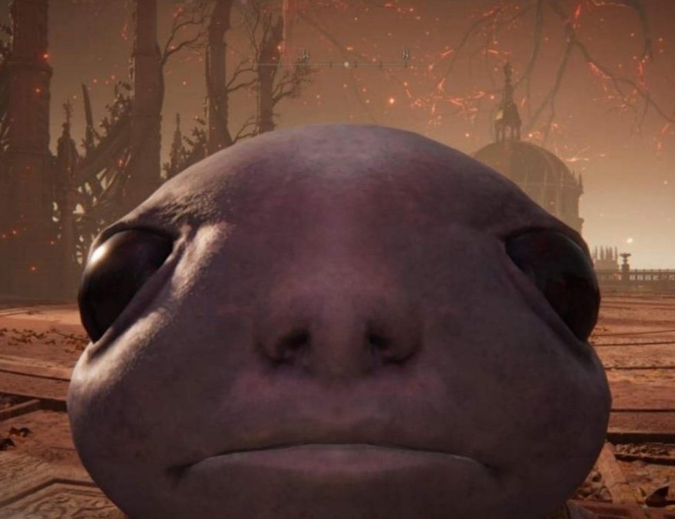 Elyel 🎮Ω🐍 tweet media