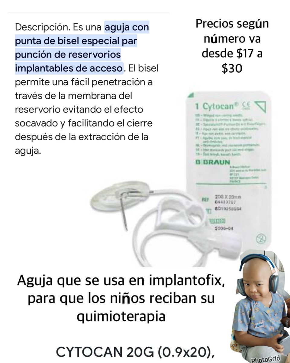 María Carola tweet media