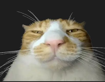 المستقعد👀 tweet media