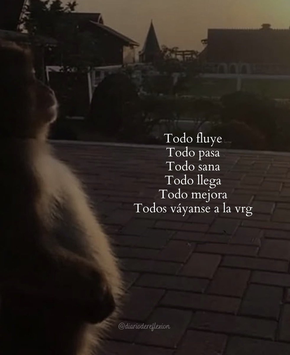 Michɘllǝ ༘⋆⭑⋆｡ᝰ.ᐟ tweet media