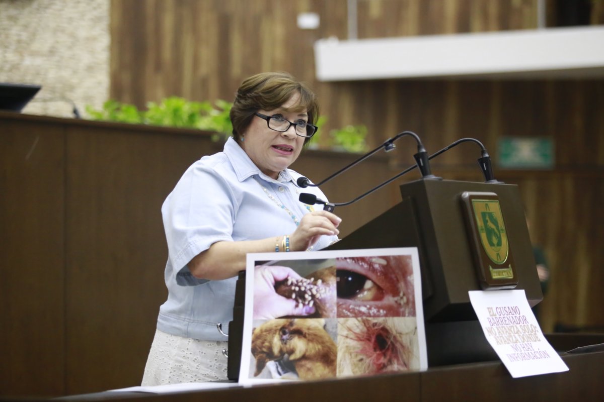 Santiago Pérez C tweet media