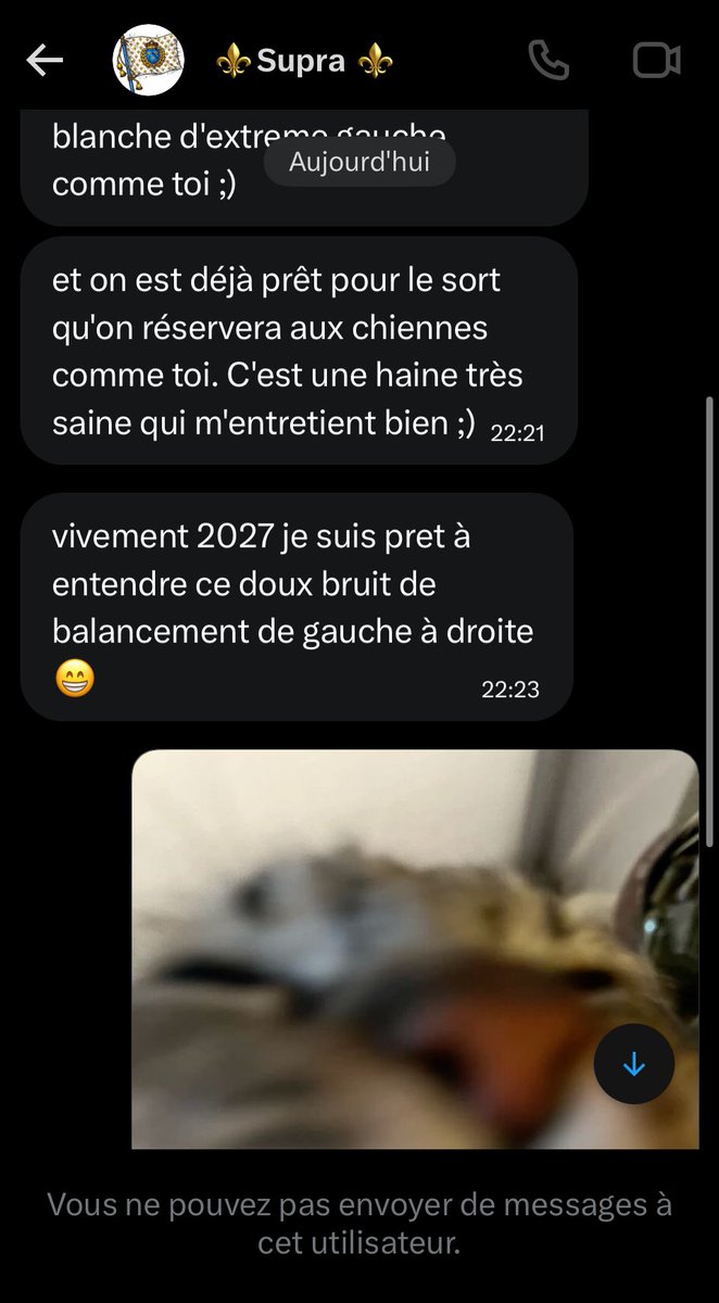 léa ✮⋆˙ tweet media