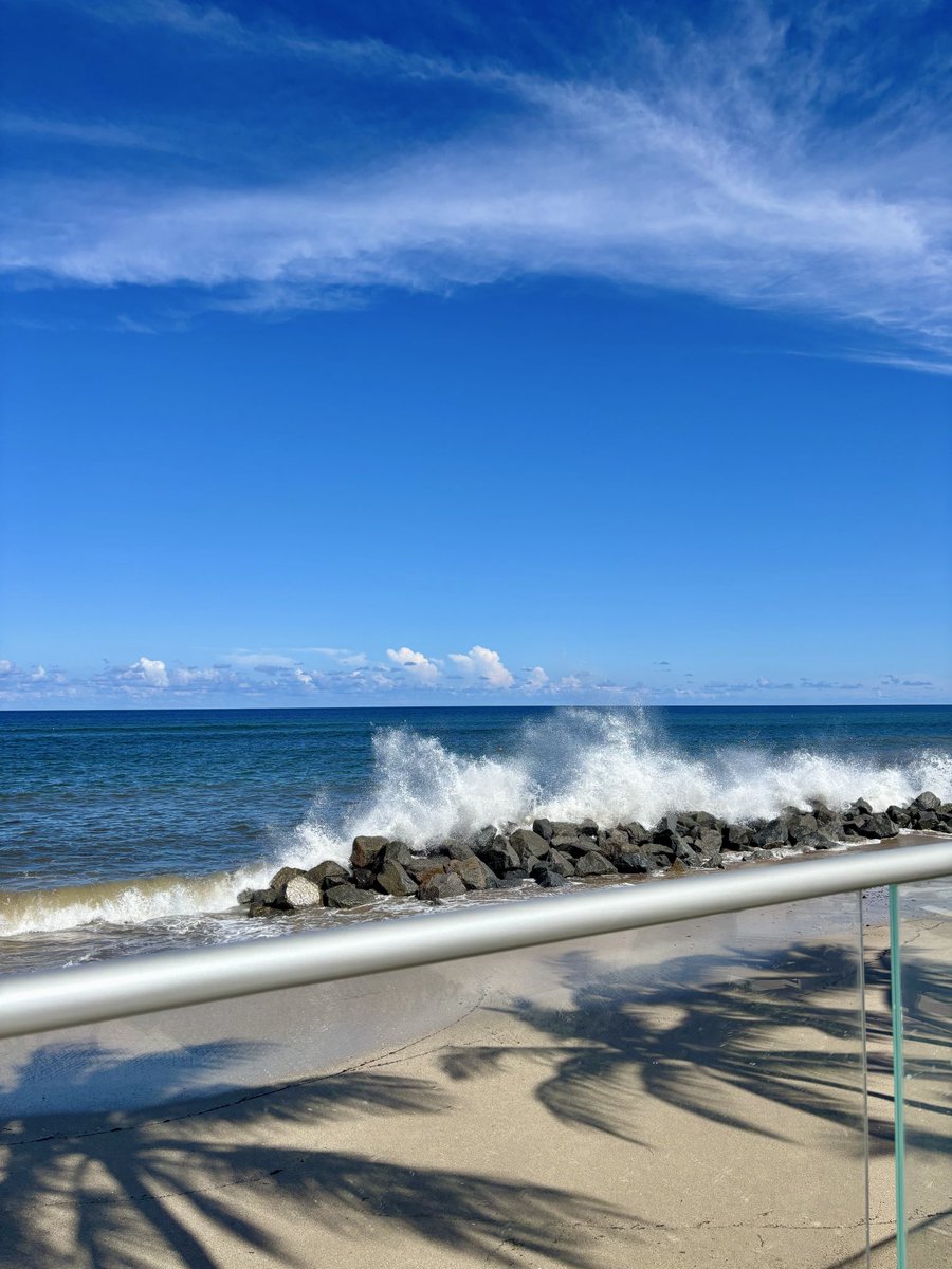 Rtgoddess2 tweet media