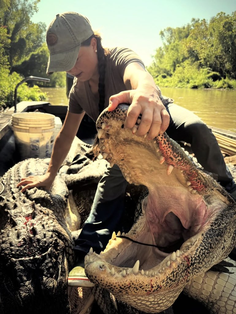 Cheyenne pickle wheat tweet media