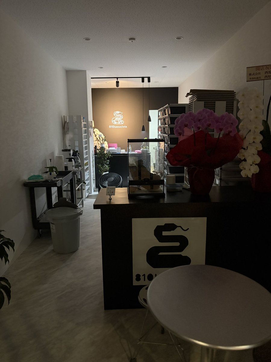 810lasucivia tweet media