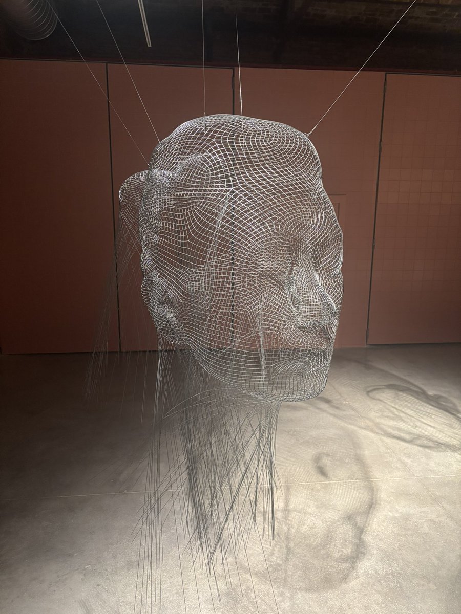 Lorenzo Tomás tweet media