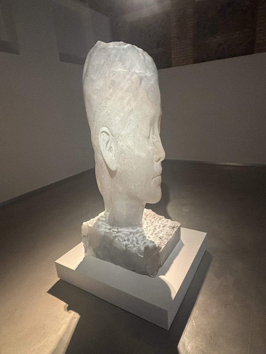 Lorenzo Tomás tweet media