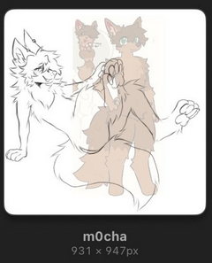 Zeeliiaapaws tweet media