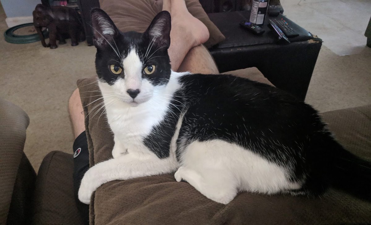 file_id.diz tweet media