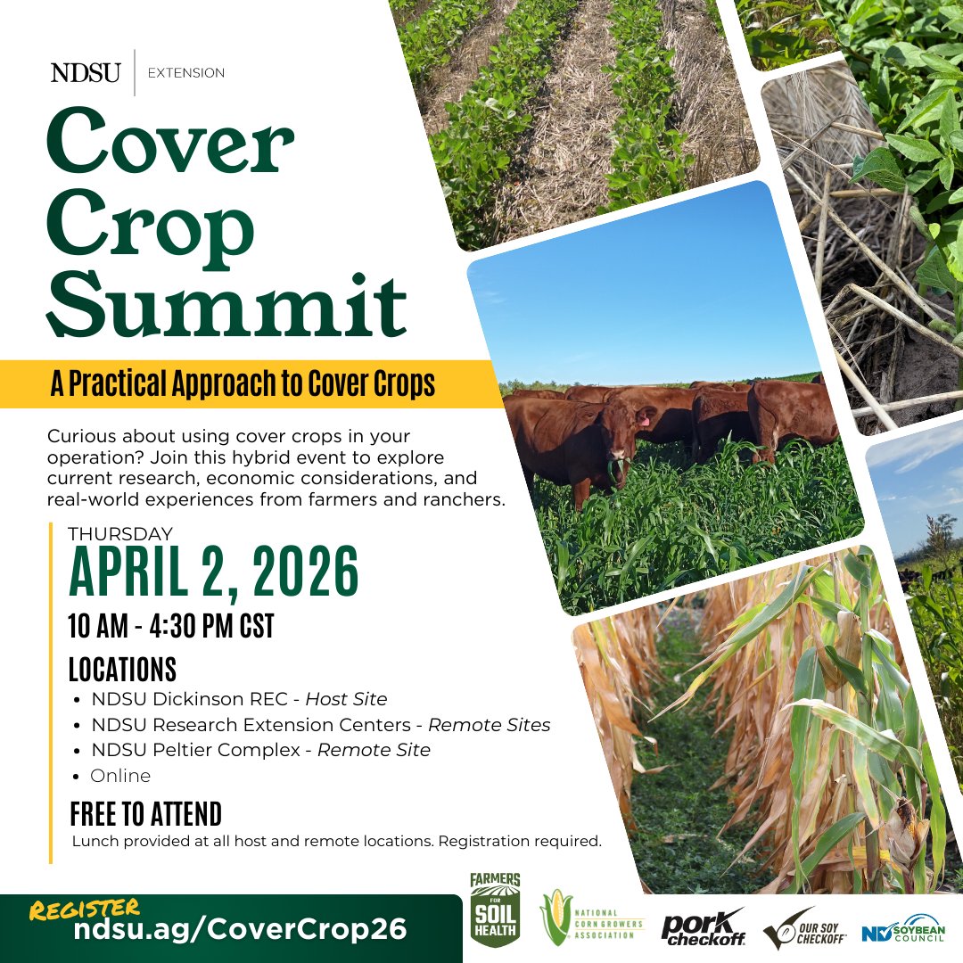 NDSoybean's tweet photo. 🌱 Cover Crop Summit 2026 – A Practical Approach to Cover Crops 🌱

📅 April 2, 2026 | 10:00 a.m. - 4:30 p.m. CST
📍 In person at Dickinson Research Extension Center + local Research Extension Centers + Zoom

The event focuses on practical applications of cover crops, research updates, economic insights, and real-world farmer and rancher experiences.

💡 What to expect:
• Recent research findings
• Cost and economic considerations
• Producer perspectives and lessons learned

Free lunch provided at all in-person locations. Registration is required to help plan for food and materials.

💻 Zoom option available. Sessions will be recorded.
🔗 Learn more and register: https://t.co/9cXYgJJ6zR