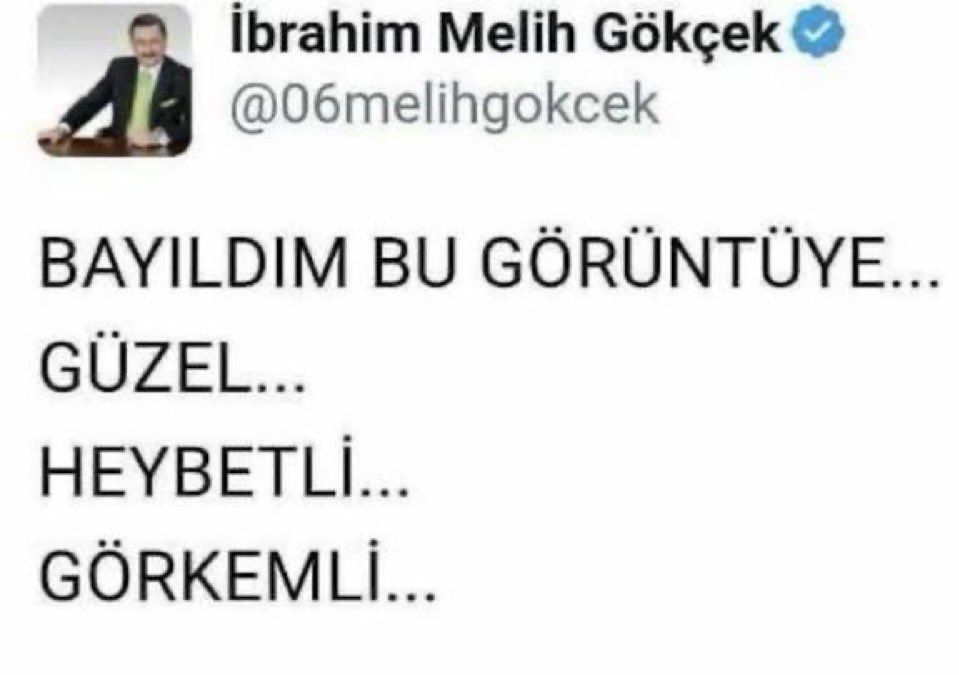 berrak🐰 tweet media