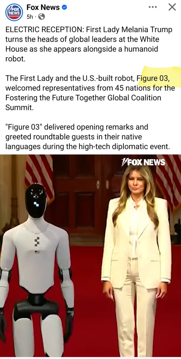 Sinziana Streza tweet media