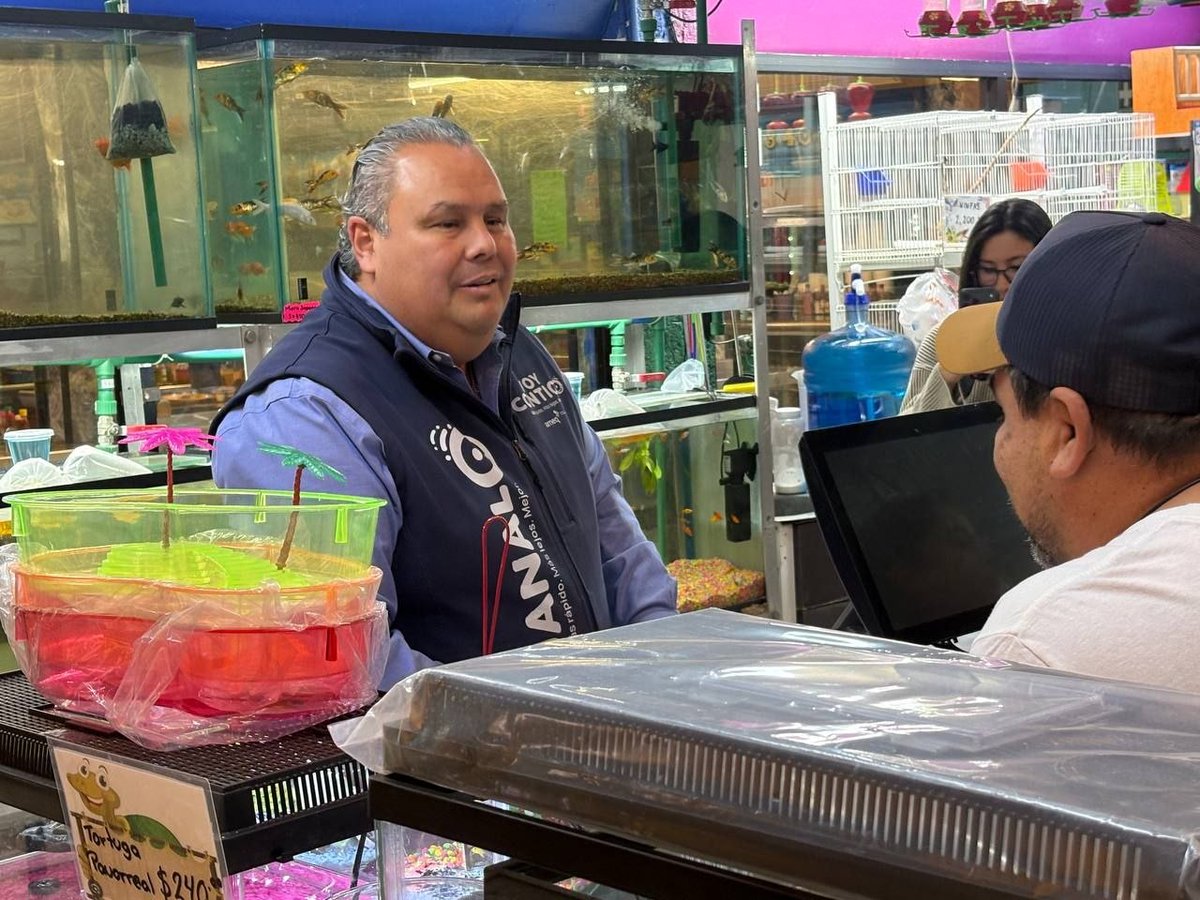 Agencia de Movilidad del Estado de Querétaro tweet media