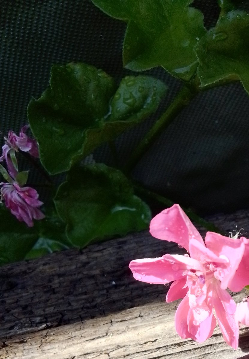 securaelinsomnio Cultura tweet media