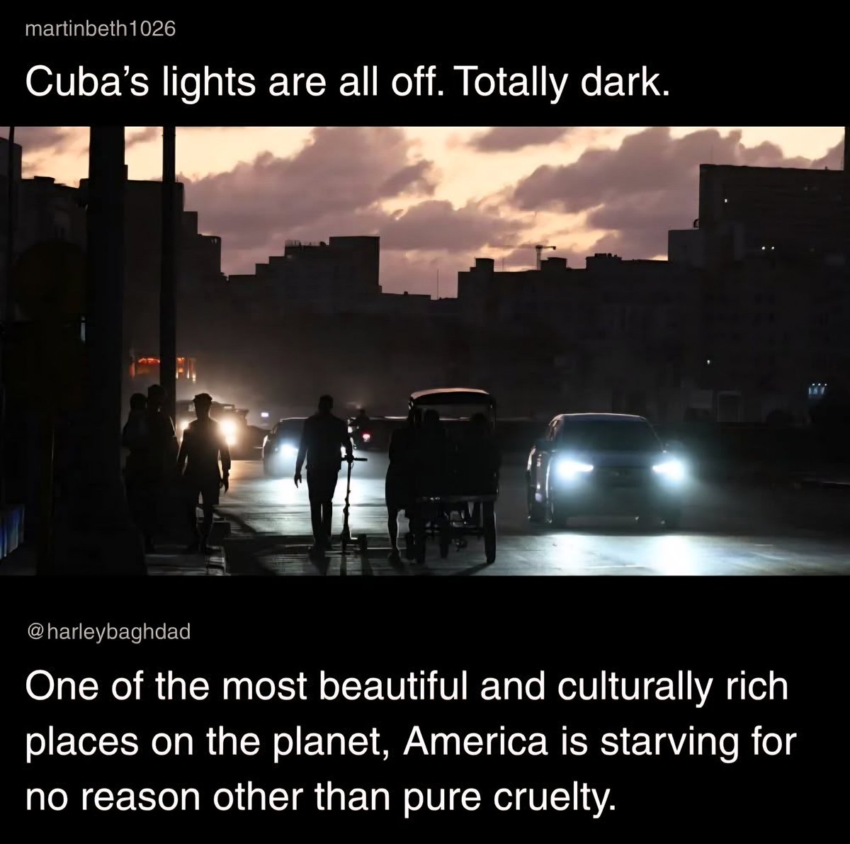 Thinking Humanity tweet media