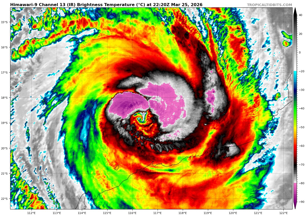 WMiguelX tweet media