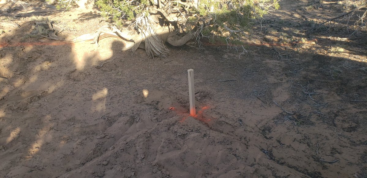 §o₿ey⚡🇺🇲 58k gang tweet media