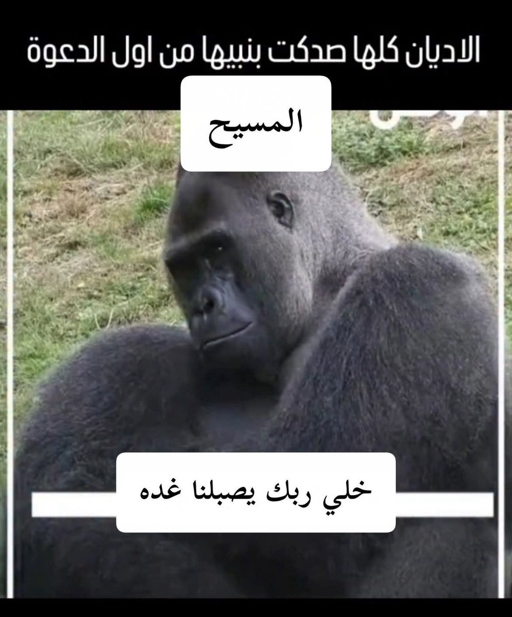 ‏❁🇮🇶 tweet media