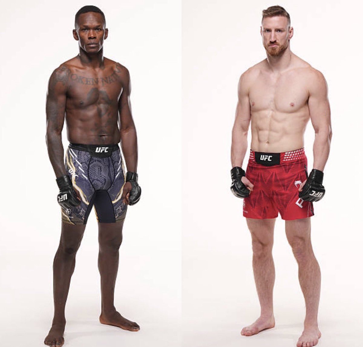 Chicken King MMA tweet media