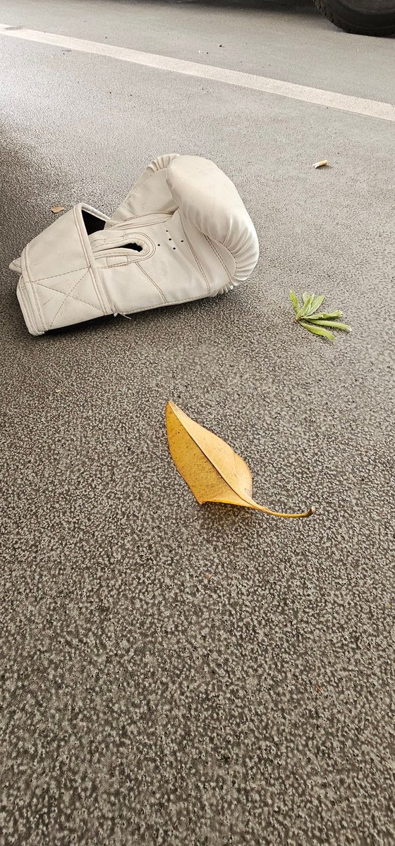 The INS home office tweet media