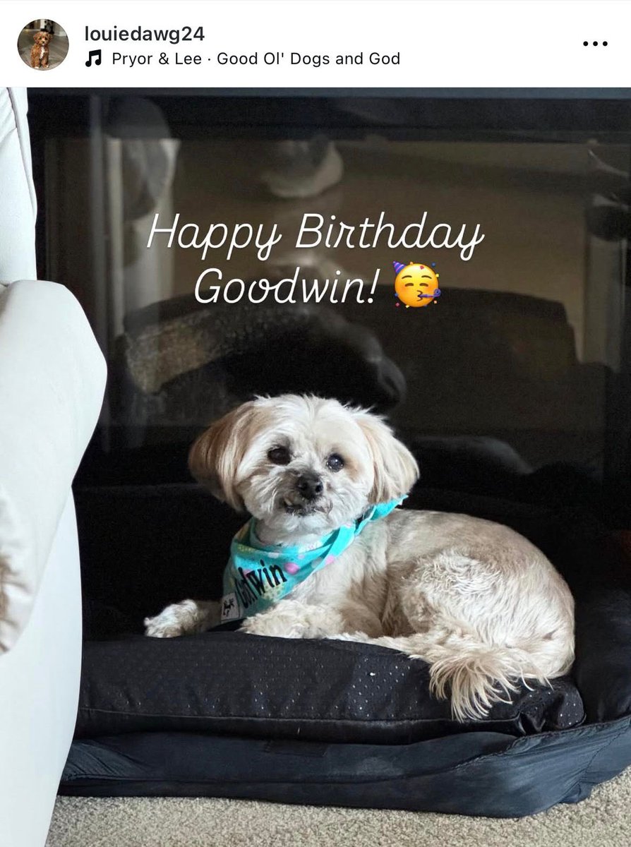 Updates Sabrina Brasil 🐾 tweet media