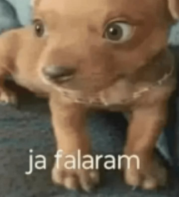 ✭Pink da Panda 🤍🩷 tweet media