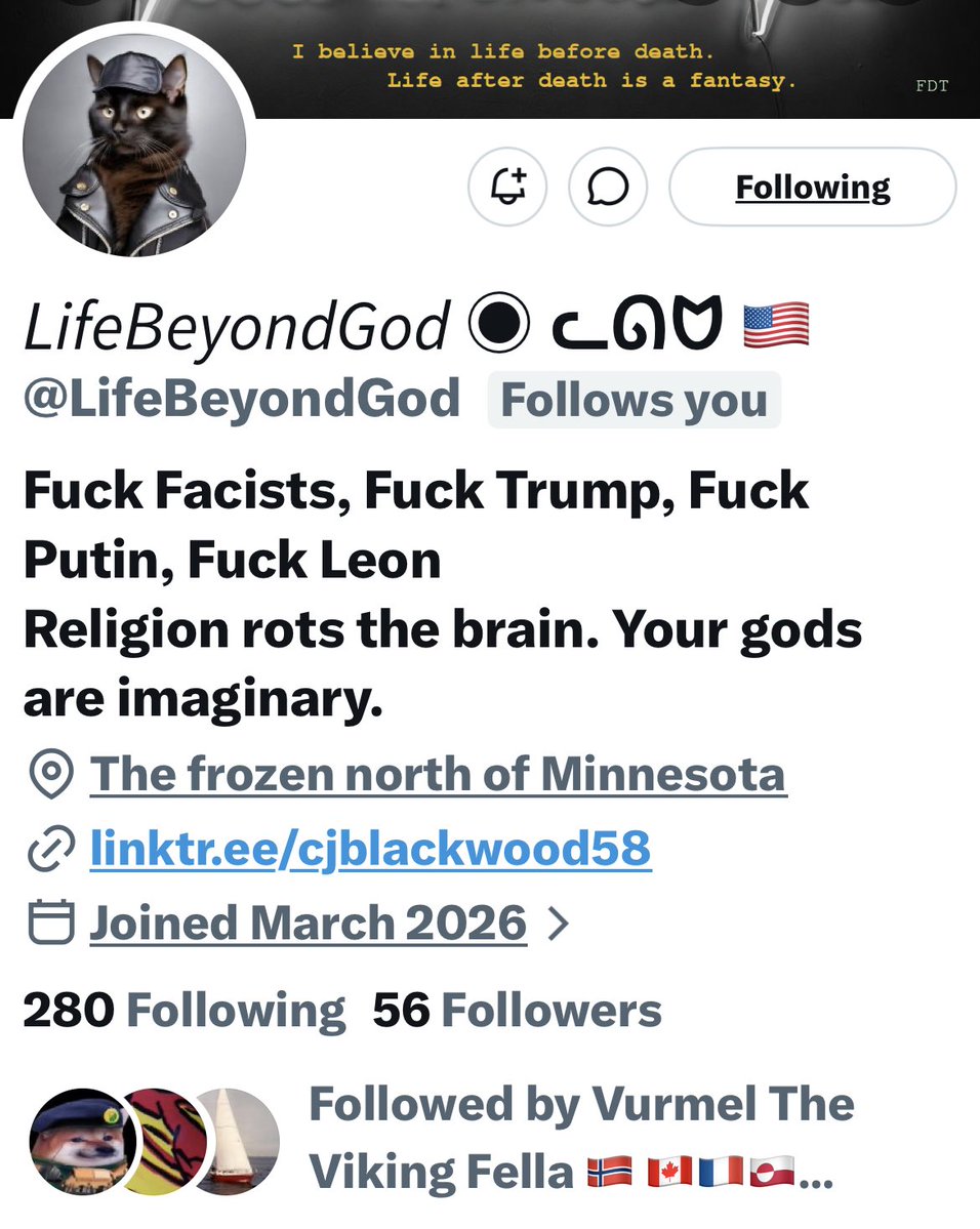 Turquoise Cat tweet media