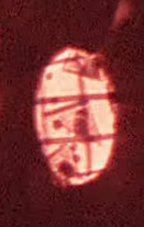 EconomicPirate tweet media