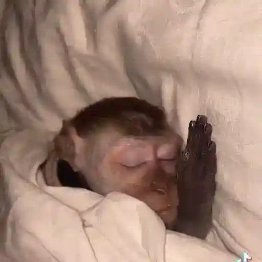 Trabalho de matéria técnica, curso extracurricular, currículo, prova pra estudar , 27 matérias acumuladas no cursinho, 2 redações pendentes, 10 dias pra escrever o acc