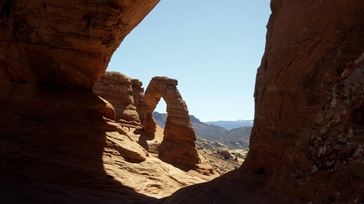 Jonathan Womack tweet media