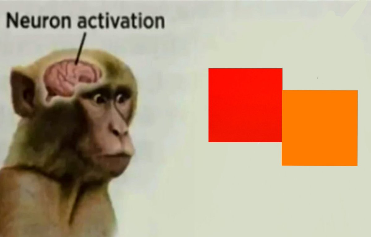 🍓🌻ᵖᶦᵐᵃ🌻|ア🍓 tweet media