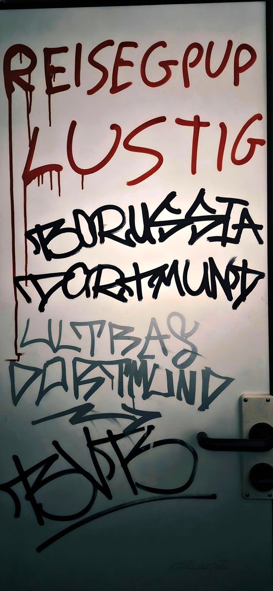 Lebendige Spuren der Leidenschaft auf einer Tür! ✨ Von klaren Rufen bis zu wilden Tags – ein bunter Seelenblick in die Fankultur von Borussia Dortmund. Rote Tinte fließt über Gemeinschaft &amp; Herzblut. 💛🖤 Ein Zeitdokument voller Energie! #SeelenblickFotos #BVB  #StreetArt