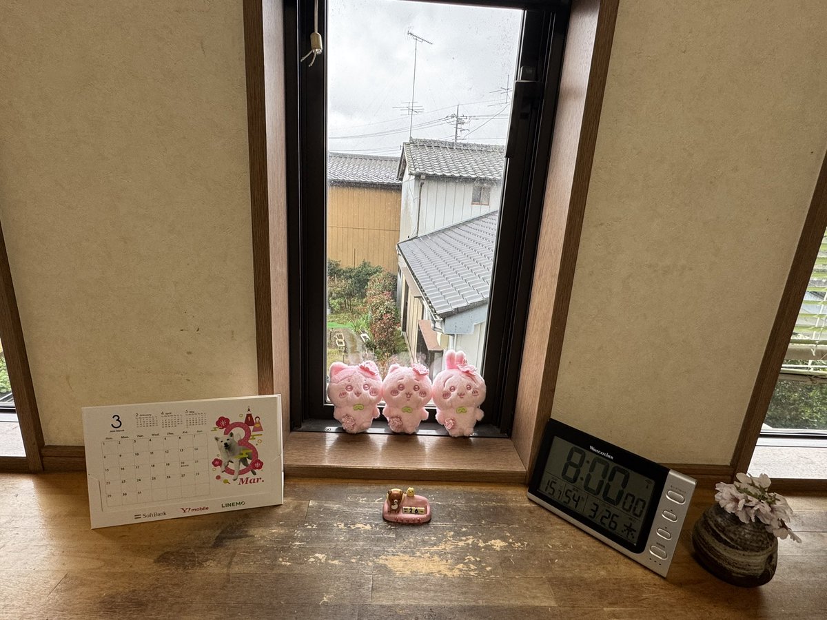 ちぃばぁ･:*+.\(( °ω° ))/.:+ tweet media