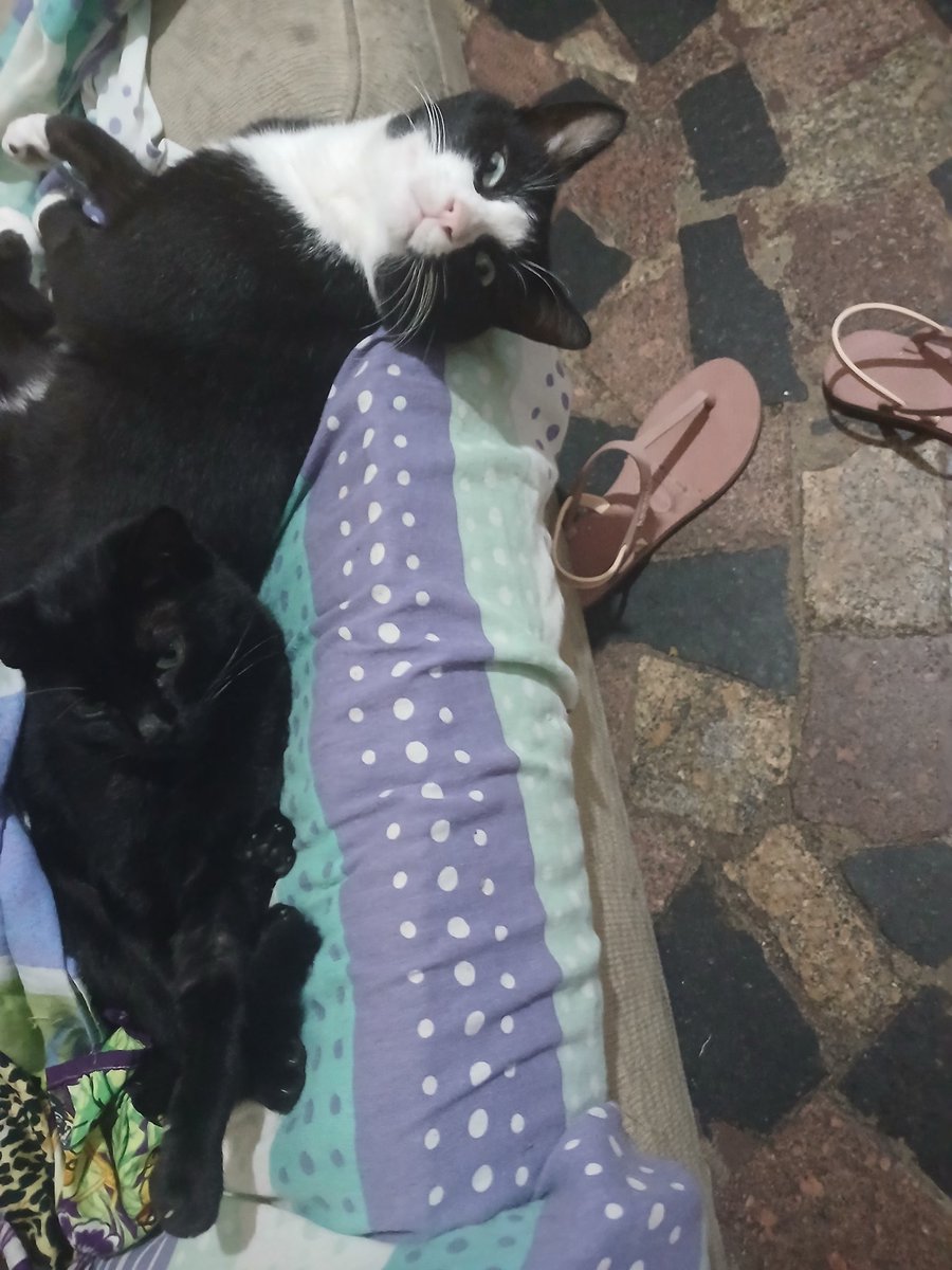 tori. ★ vai ser 173! tweet media